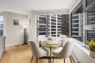 401 E Ontario St, Chicago, IL 60611 - Photo 9