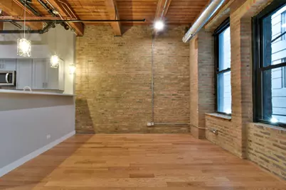 11 E Illinois Street #203, Chicago, IL 60611 - Photo 5