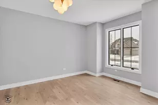 20018 Waterview Trail, Frankfort, IL 60423 - Photo 47