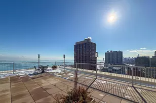 336 W Wellington Ave, Chicago, IL 60657 - Photo 11