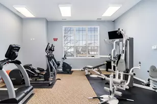 2154 Tremont Ave, Yorkville, IL 60560 - Photo 47