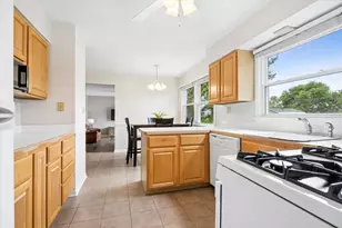 919 E Ironwood Dr, Mount Prospect, IL 60056 - Photo 9