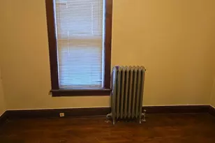 7 N State St, Glenwood, IL 60425 - Photo 17