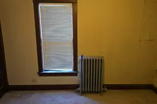 7 N State St, Glenwood, IL 60425 - Photo 13