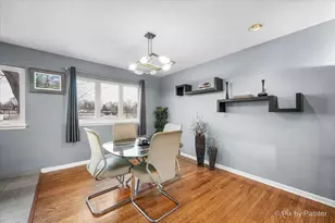 353 N Morris Dr, Palatine, IL 60074 - Photo 5