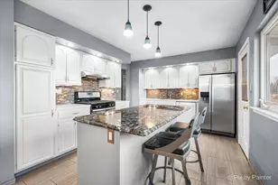 353 N Morris Dr, Palatine, IL 60074 - Photo 7