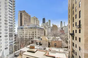 1310 N Ritchie Ct, Chicago, IL 60610 - Photo 17