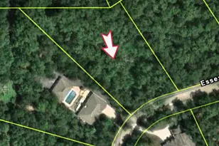 161 Essex Way, Essex, IL 60935 - Photo 1