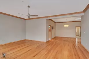 9306 Fox Run Cir, Frankfort, IL 60423 - Photo 19