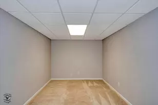 9306 Fox Run Cir, Frankfort, IL 60423 - Photo 29