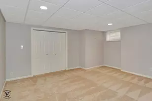 9306 Fox Run Cir, Frankfort, IL 60423 - Photo 31