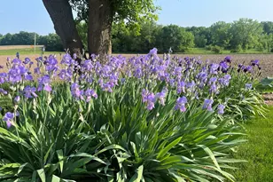 28007 Brickville Rd, Sycamore, IL 60178 - Photo 35