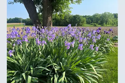 28007 Brickville Road, Sycamore, IL 60178 - Photo 33