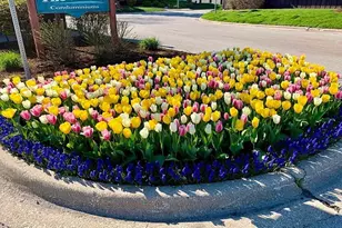 73 W Pier Dr, Westmont, IL 60559 - Photo 17