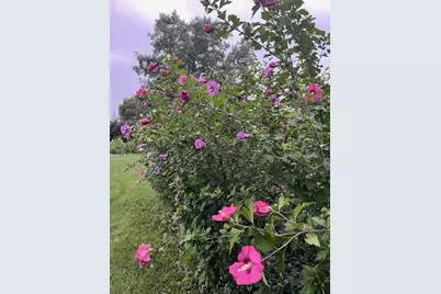 13210 S 85th Avenue, Palos Park, IL 60464 - Photo 27