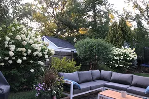 1351 Scott Ave, Winnetka, IL 60093 - Photo 41