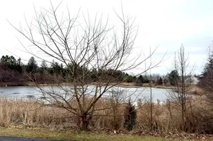 111 W Chatham Ln, Round Lake, IL 60073 - Photo 19