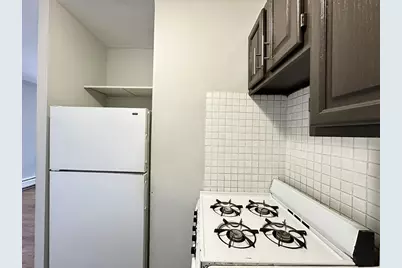 4610 N Dover Street #3A, Chicago, IL 60640 - Photo 5