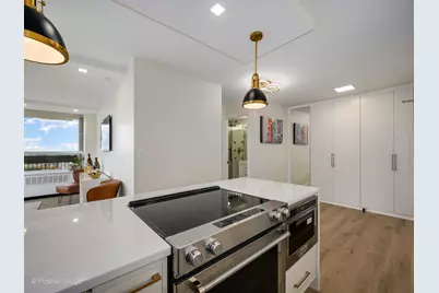 1355 N Sandburg Terrace #2201D, Chicago, IL 60610 - Photo 15
