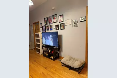 717 N Springfield Avenue, Chicago, IL 60624 - Photo 3