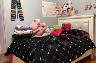 717 N Springfield Ave, Chicago, IL 60624 - Photo 5