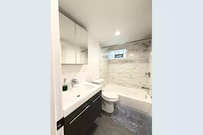 6356 W Giddings Street, Chicago, IL 60630 - Photo 49