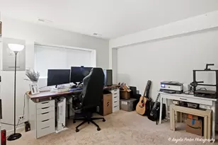 593 Treble Ln, Volo, IL 60073 - Photo 23