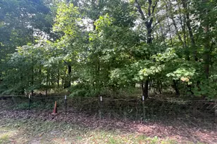 2701 E County Township Rd 121, Sheldon, IL 60966 - Photo 31