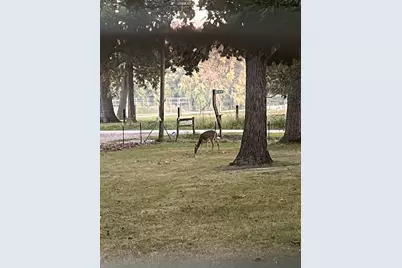 2701 E County Township Road 121, Sheldon, IL 60966 - Photo 35