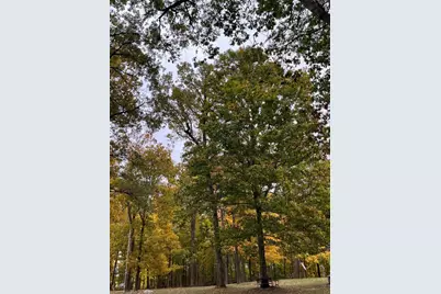 2701 E County Township Road 121, Sheldon, IL 60966 - Photo 25