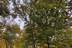 2701 E County Township Rd 121, Sheldon, IL 60966 - Photo 25