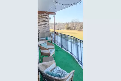 250 W Parliament Place #301, Mount Prospect, IL 60056 - Photo 41