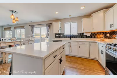 1595 Bayberry Lane, Pingree Grove, IL 60140 - Photo 13