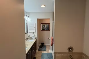 10709 Hollow Tree Rd, Orland Park, IL 60462 - Photo 11