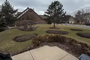 10709 Hollow Tree Rd, Orland Park, IL 60462 - Photo 23