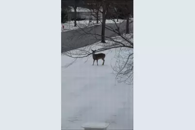 12597 Oak Grove Drive, Huntley, IL 60142 - Photo 35