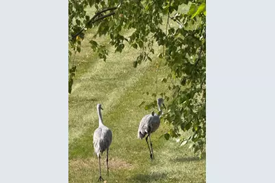 12597 Oak Grove Drive, Huntley, IL 60142 - Photo 25