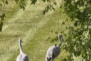 12597 Oak Grove Dr, Huntley, IL 60142 - Photo 25