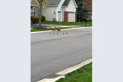 12597 Oak Grove Drive, Huntley, IL 60142 - Photo 33