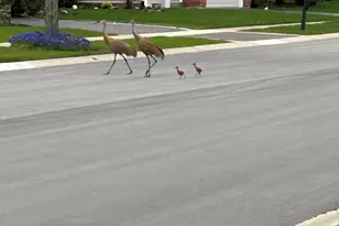 12597 Oak Grove Dr, Huntley, IL 60142 - Photo 33