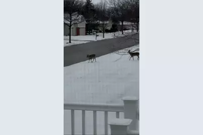 12597 Oak Grove Drive, Huntley, IL 60142 - Photo 31