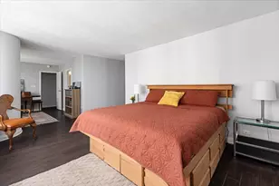 1313 N Ritchie Ct, Chicago, IL 60610 - Photo 23