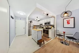 211 E Ohio St, Chicago, IL 60611 - Photo 9