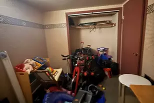 17164 Louis Ave, South Holland, IL 60473 - Photo 21