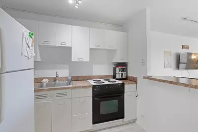 1355 N Sandburg Terrace #303D, Chicago, IL 60610 - Photo 7