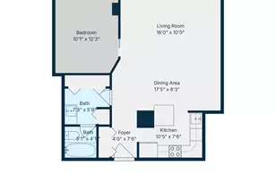 100 E Walton St, Chicago, IL 60611 - Photo 19