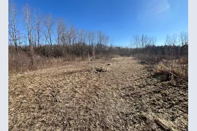 39155 N Dilleys Road, Wadsworth, IL 60083 - Photo 7