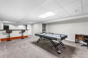 26428 Rustling Birch Way, Plainfield, IL 60585 - Photo 31