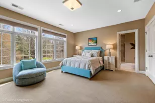 419 N Valley Hill Rd, Bull Valley, IL 60098 - Photo 43