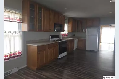 670 E 1st Street, Dallas City, IL 62330 - Photo 5